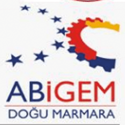 ABİGEM